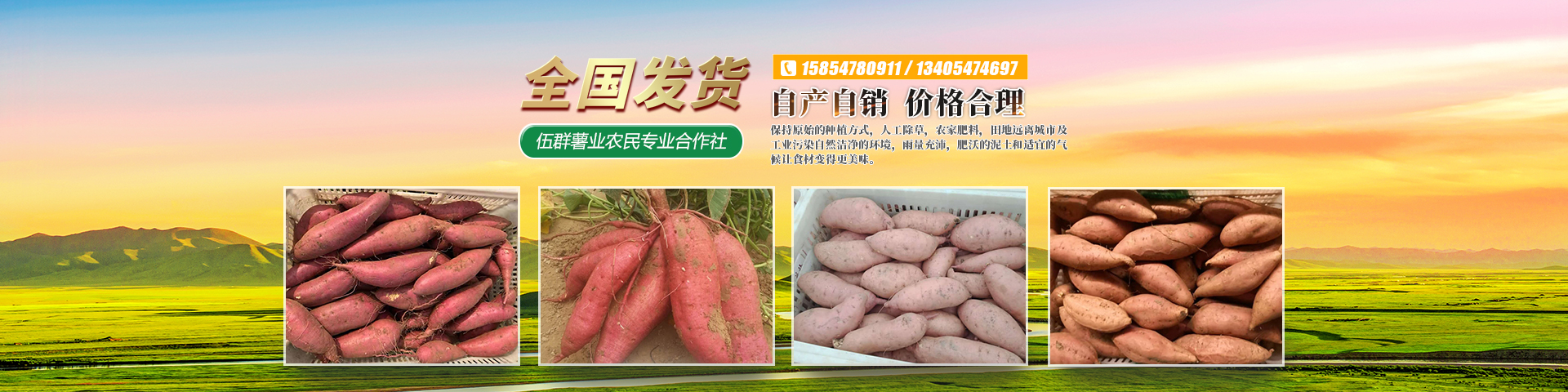 梁山伍群薯業農民專業合作社