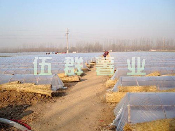 戳我试试