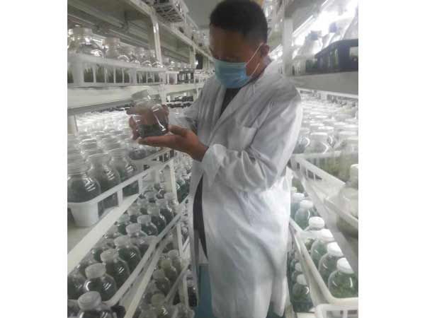 技術考察