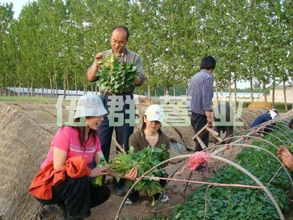 技術(shù)考察