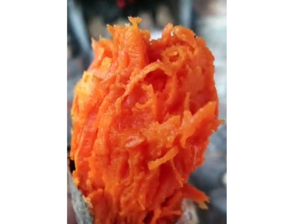 普薯32（西瓜紅）
