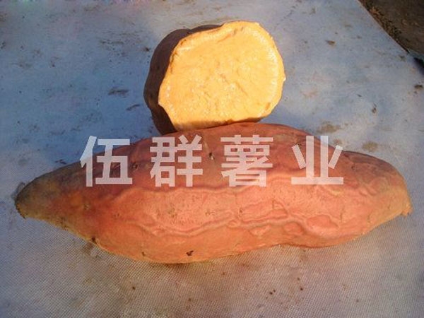 煙薯25